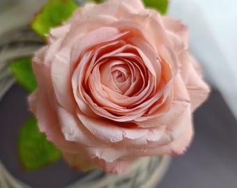 Handmade Blush English garden rose, Real touch Cold porcelain flower, Realistic Faux Rose stem, Forever Flower for Home Decor, Keepsake Gift