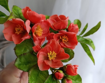 Kaltporzellan Quittenblüte, Zweig der blühenden Quitte, Polymerclay Gapanese Quitte, Frühlingsblüte, Blumendekoration, Tischdekor