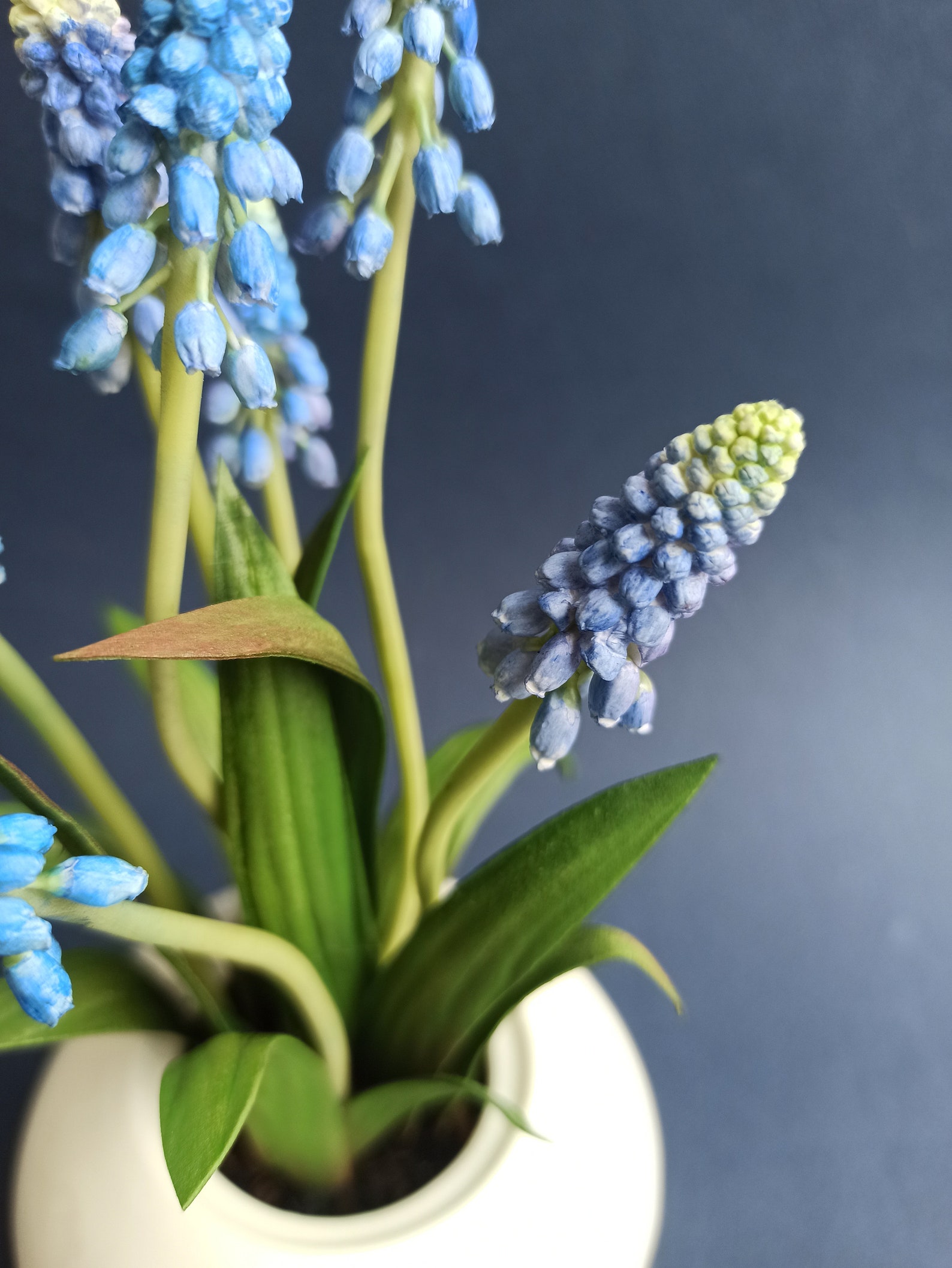 blue-baby-grape-hyacinths-realistic-mini-hyacinth-in-vase-atificial