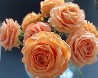 May include: A bouquet of peach-colored roses in a clear glass vase. The roses are arranged in a cluster, with the stems extending out of the vase.