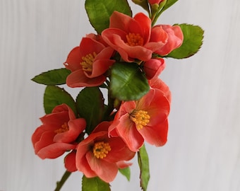 Kaltporzellan Quittenblüte, Zweig der blühenden Quitte, Polymerclay Gapanese Quitte, Frühlingsblüte, Blumendekoration, Tischdekor