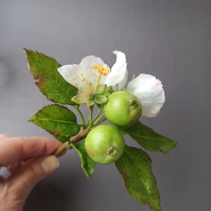 Cold porcelain Apple blossom, Branch of blossoming apple tree, Spring blossom, Flower centerpiece, Table decor