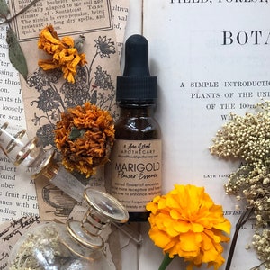 Mexican Marigold Flower Essence / Ancestral / Relationships