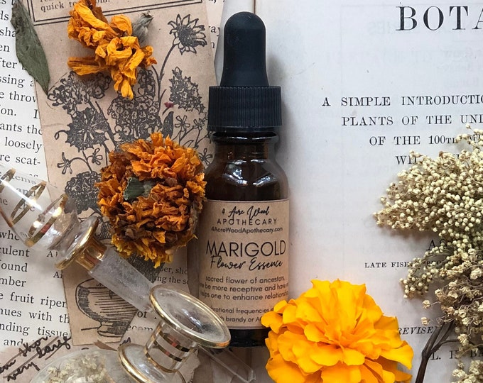 Mexican Marigold Flower Essence / Ancestral / Relationships