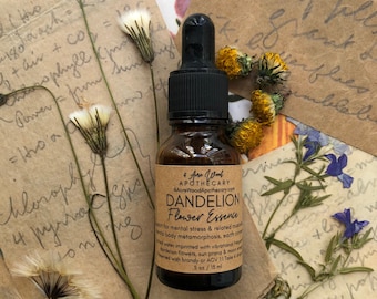 Dandelion Flower Essence | Earth Connection | Stress Release| Metamorphosis