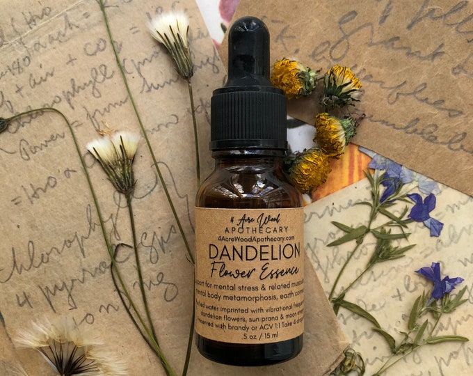 Dandelion Flower Essence | Earth Connection | Stress Release| Metamorphosis
