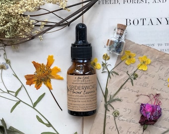 Spiderwort Flower Essence | Positive Attitude | True Identity
