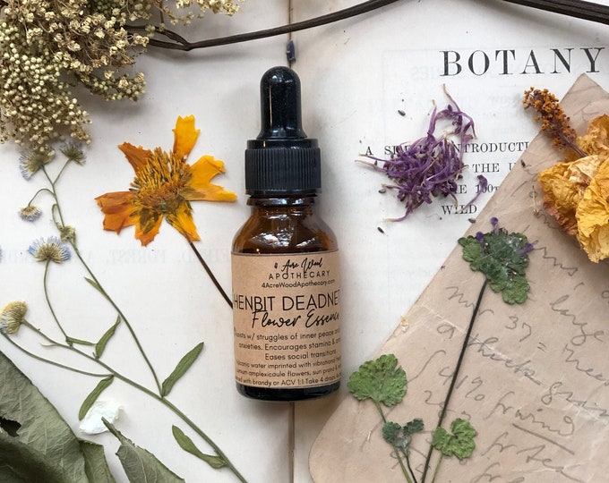 Henbit Deadnettle Flower Essence | Social Anxiety | Ambition | Motivation