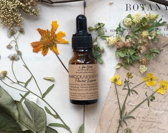 Lesser Trefoil | Shamrock Clover | Luck | Intuition | Flower Essence
