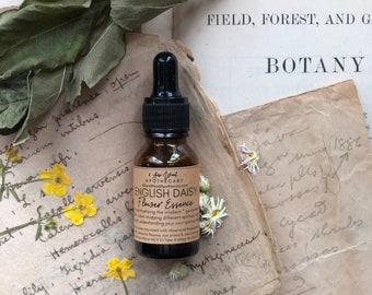 English Daisy Flower Essence | Spiritual Diversity | Spiritual Intellect | Spiritual Clarity