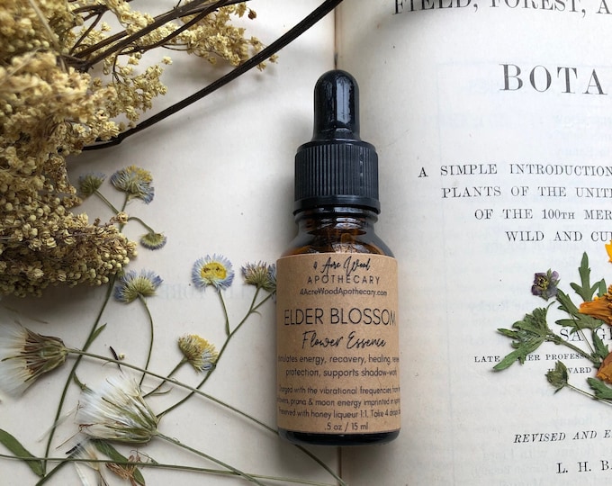 Elder Blossom Flower Essence for Joy | Luck | Magic | Protection