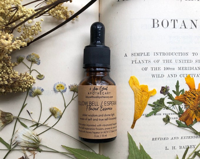 Flower Essence / Texas Yellow Bell / Trumpet Bell / Yellow Elder / Esperanza / Elder Wisdom / Wise Choices