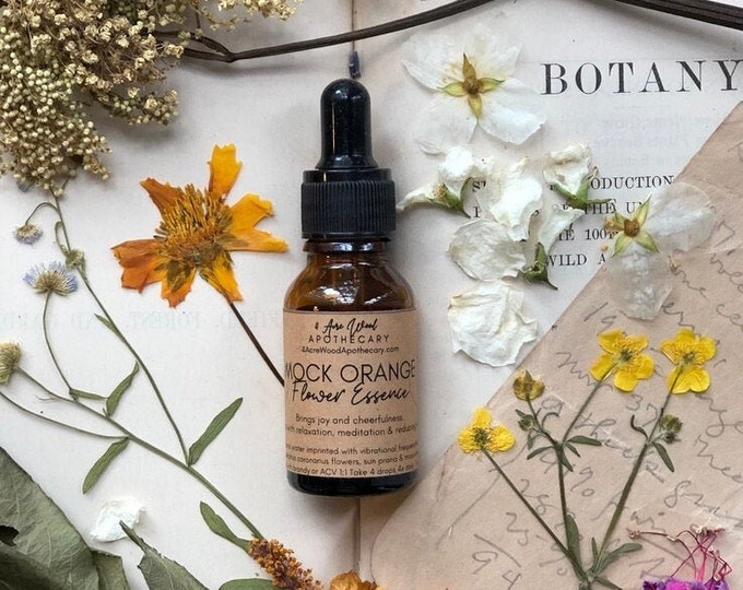 Mock Orange Flower Essence / Joy / Relaxation