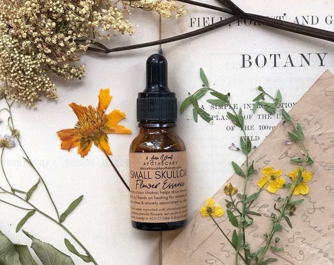 Skullcap Flower Essence | Mind Relaxation | Addiction | Anxiety | Animal Workers