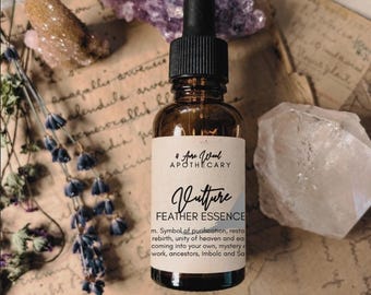 Vulture Totem Feather Essence | Bird Medicine | Bird Magic