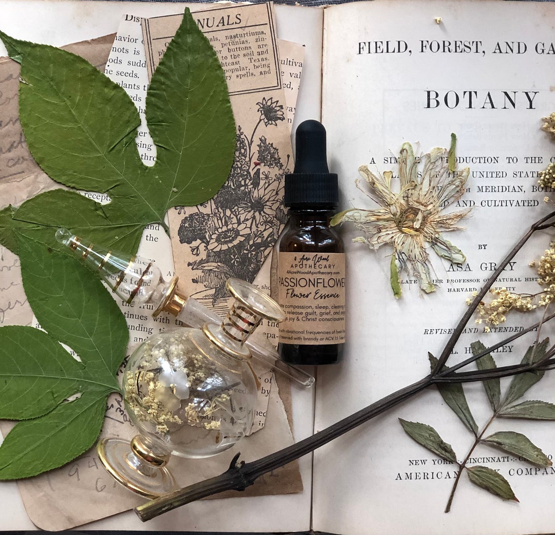 Passionflower Flower Essence / Calming / Sleep Etsy UK