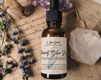 Great Blue Heron Totem Feather Essence | Bird Medicine | Bird Magic