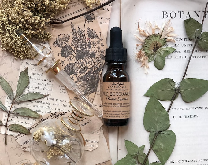 Wild Bergamot | Bee Balm Flower Essence | Clarity | Clear Expression
