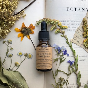 Goldenrod Flower Essence | Be You | Speak Your Truth