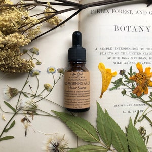 Wild Morning Glory Flower Essence | Nervous Habit | Stamina | Addiction | Acupuncturist