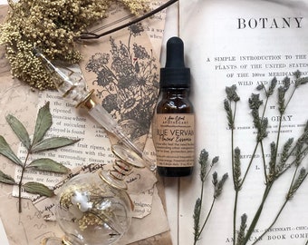 Vervain Flower Essence | Idealism | Purification