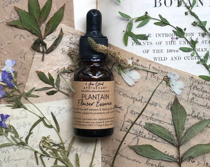 Plantain Flower Essence / Self Esteem