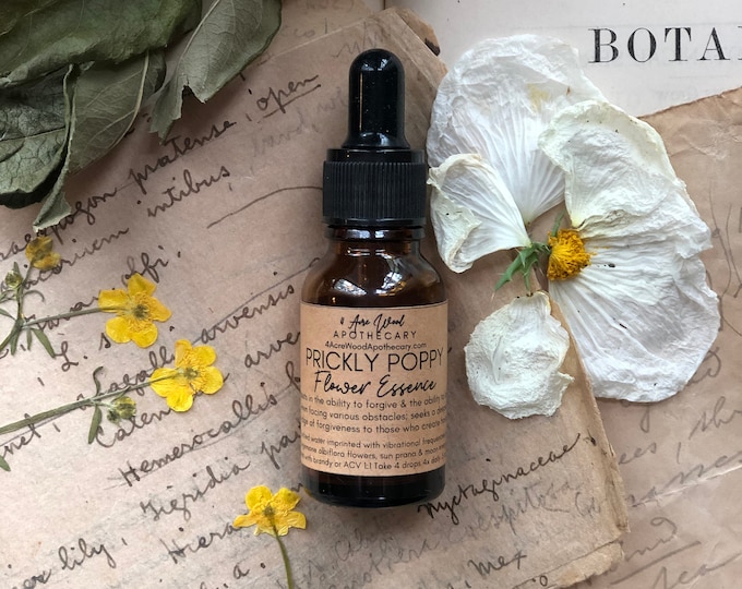 White Prickly Poppy Flower Essence | Forgiveness | Love | Past Life