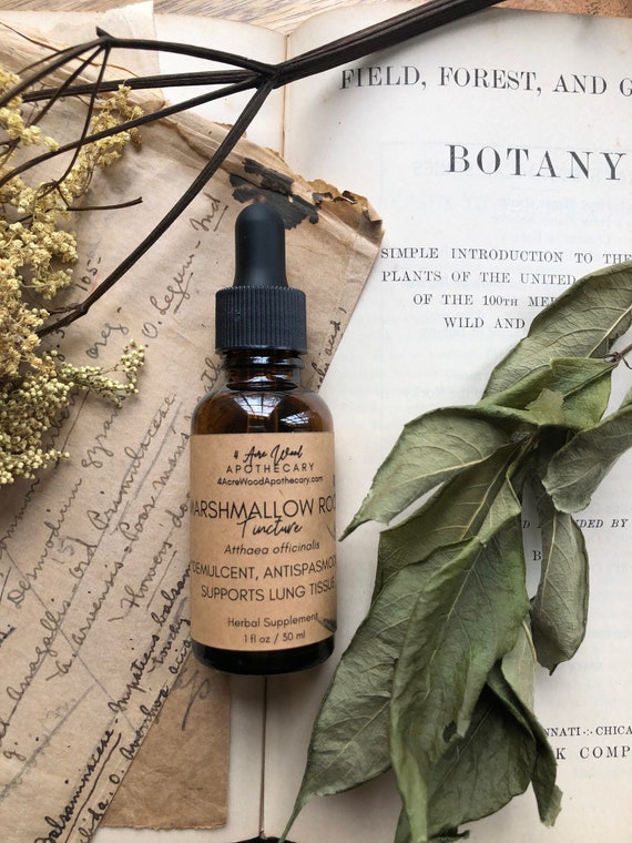 Marshmallow Root Tincture Digestive Lung Respiratory Etsy