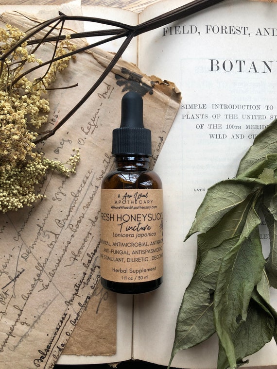 Fresh Honeysuckle Tincture 1 Oz Etsy