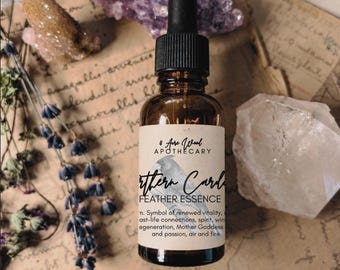 Cardinal Totem Feather Essence | Bird Medicine | Bird Magic