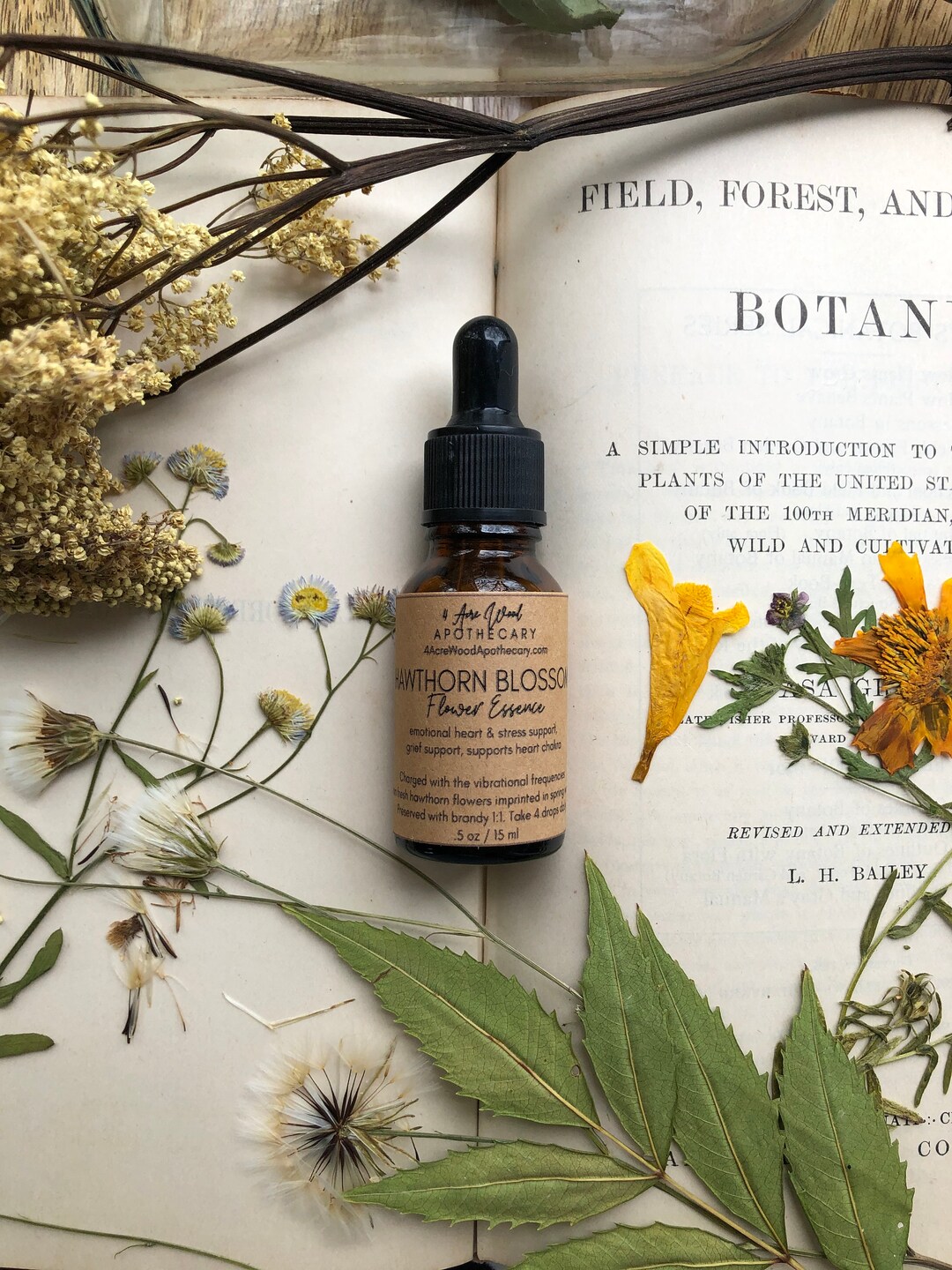 Honeysuckle Flower Essence / Homesickness / Tension Relief / Stamina Etsy