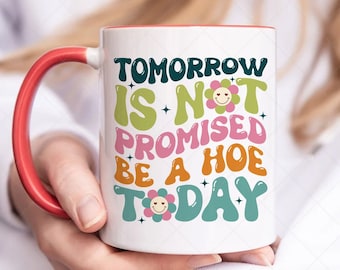 Tomorrow Is Not Promised Be A Hoe Today Mug, Funny Saying Mug, Sarcasm Mug 000842
