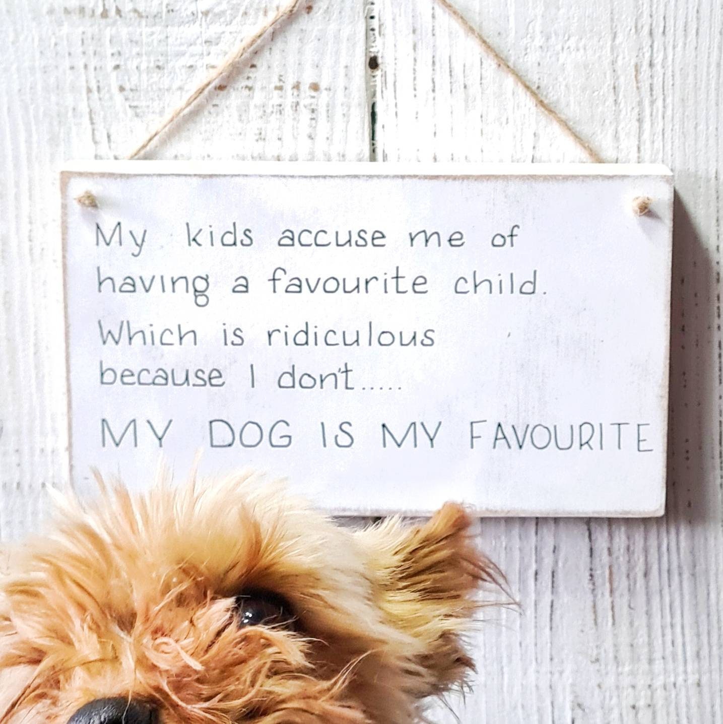 Dog is My Favorite Child UK