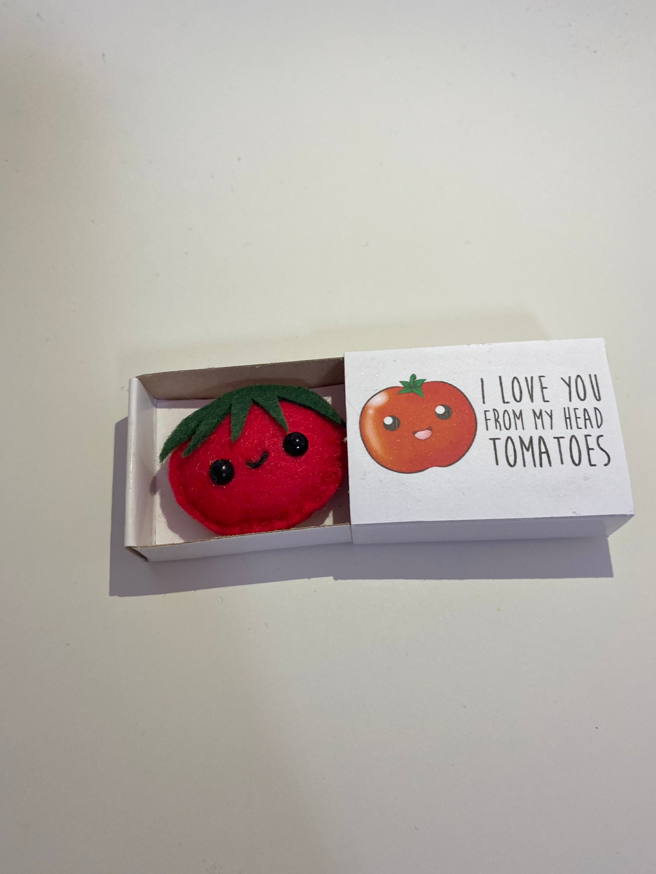 Mini tomato magnet gift cute gift anniversary gift i love | Etsy