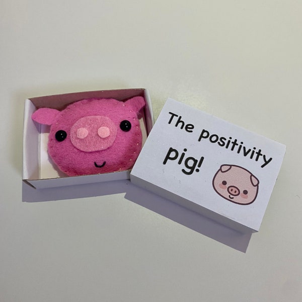 Mini Pig matchbox gift, positive gift, positivity gift, positive attributes, cute pig, birthday gift, mental health, stocking filler, love