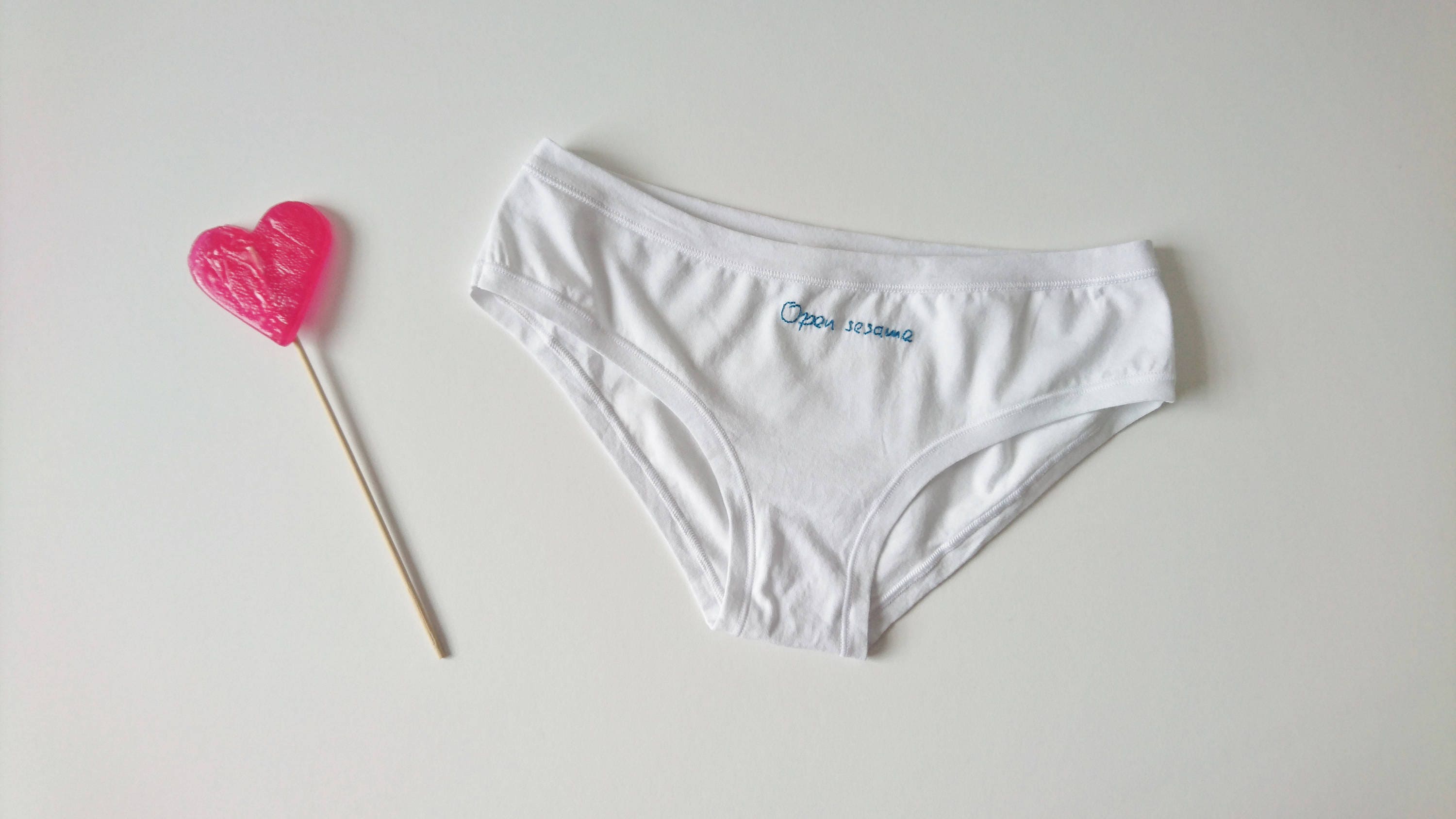 Red Rose Panties Hand Embroidered Panties White Cotton Underwear Hand  Embroidered Rose Funny Bikini Panties Made to Order 