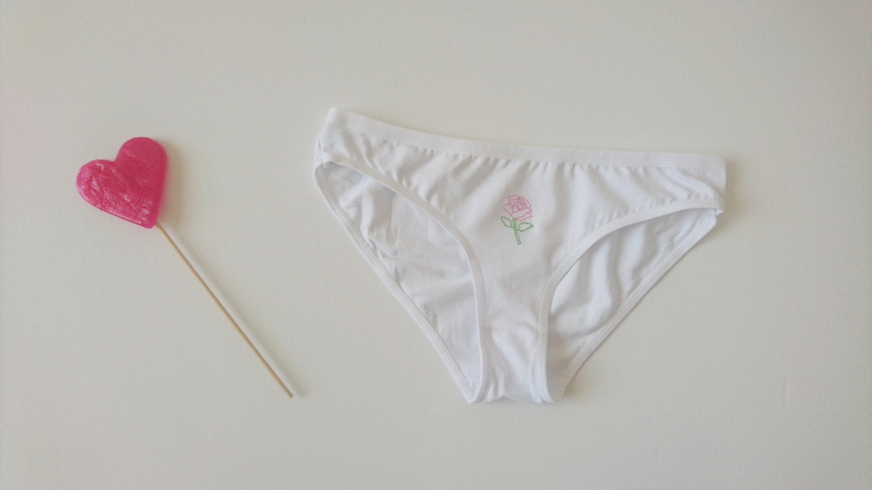 Pink Rose Panties Hand Embroidered Panties White Cotton Underwear Hand  Embroidered Rose Funny Bikini Panties Made to Order 