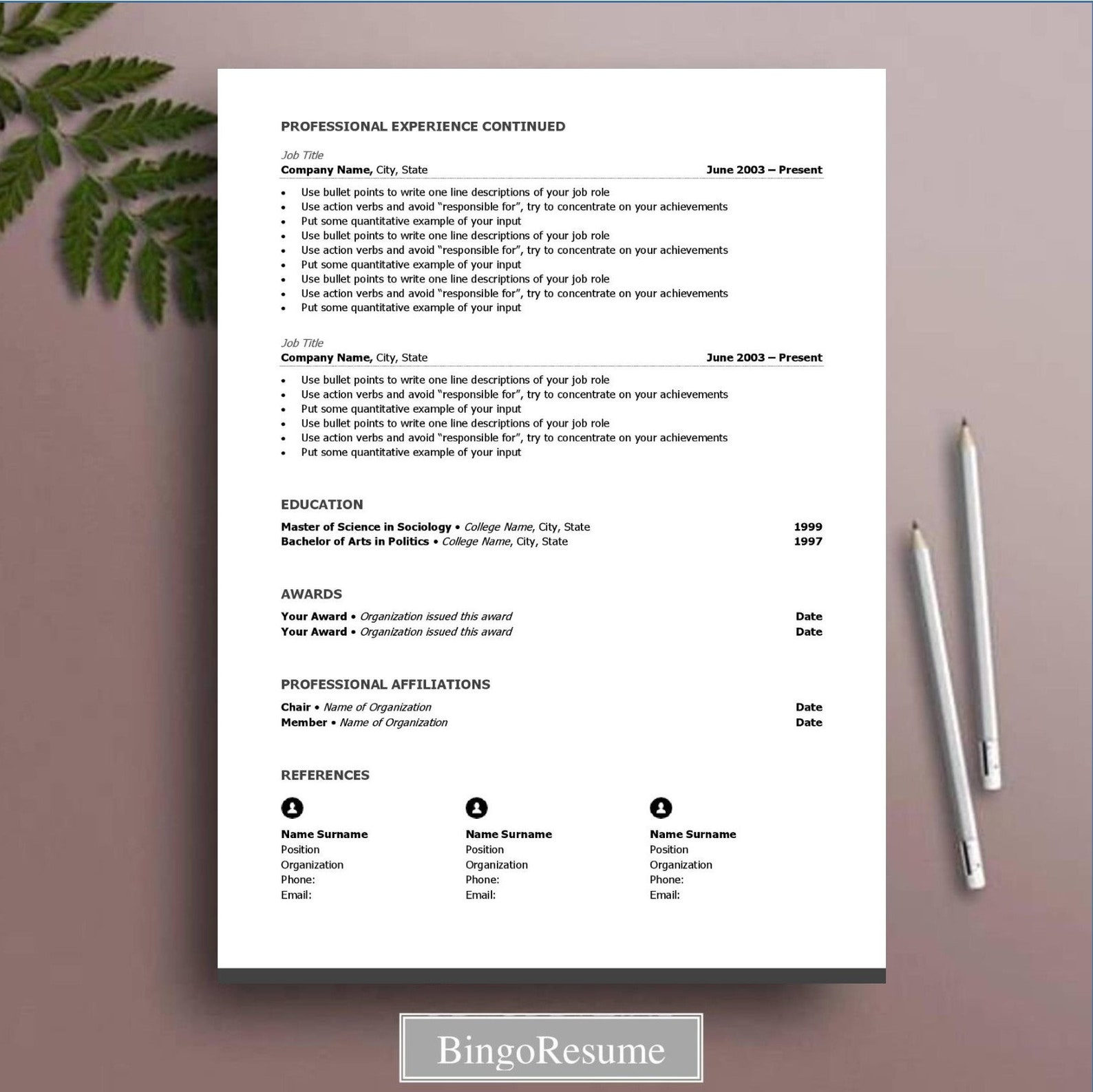 Resume Template CV Template Etsy Nederland