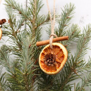 Rustic Orange Cinnamon Stick Christmas Ornament with Cranberries & Pinecones | Boho Farmhouse | All Natural Vintage Holiday Decor