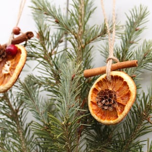 Rustic Orange Cinnamon Stick Christmas Ornament with Cranberries & Pinecones | Boho Farmhouse | All Natural Vintage Holiday Decor | Set of 6