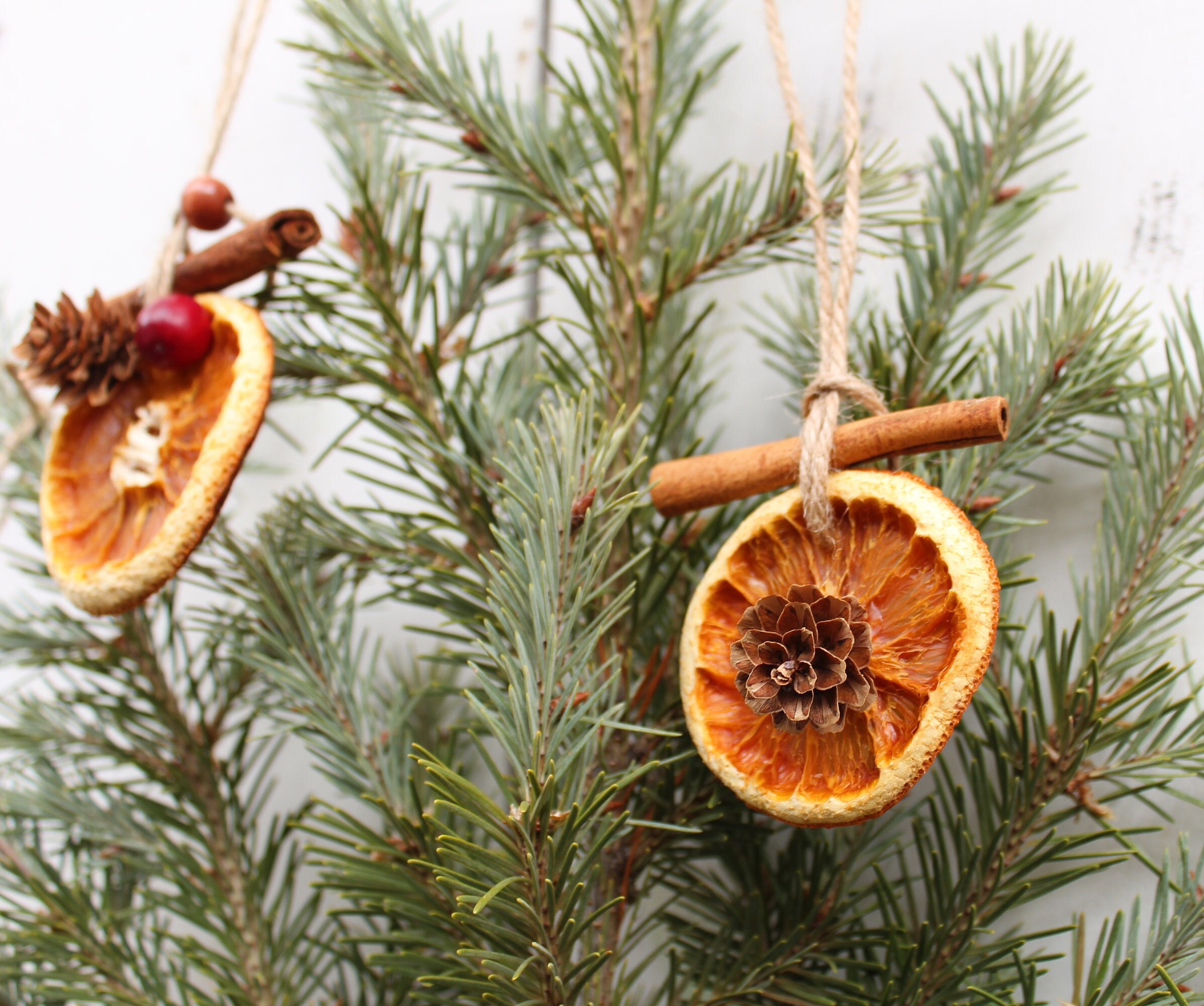 Christmas Decor with Pine Branches, Cones, Orange, Cinnamon Sticks