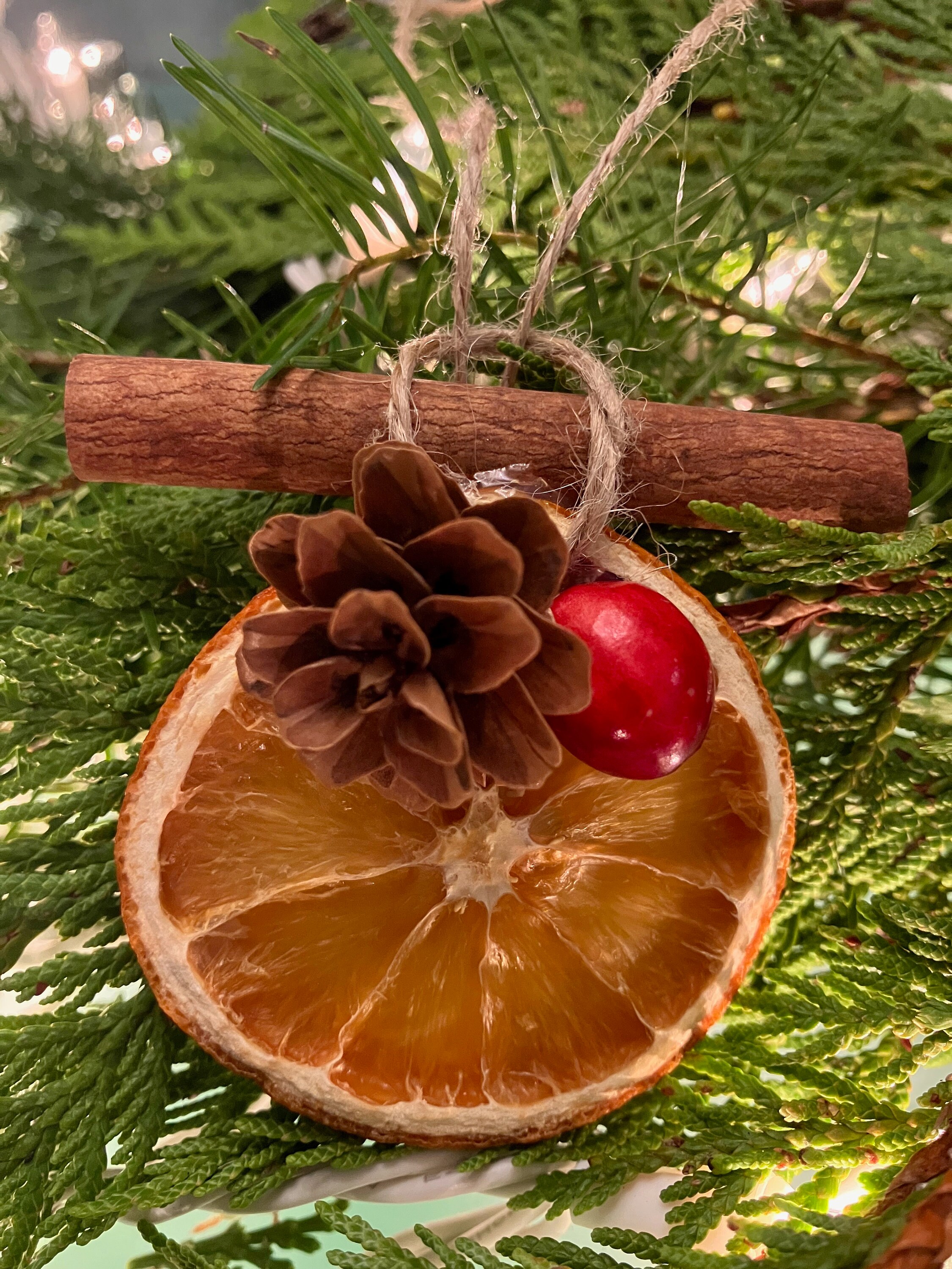 Orange Cinnamon Stick Christmas Ornament With Cranberries and Pinecones ...