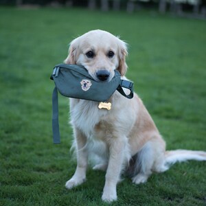 May include: A golden retriever sits on green grass, holding a green dog treat bag in its mouth. The bag has a small embroidered logo and a bone-shaped tag. The dog is in a park setting.