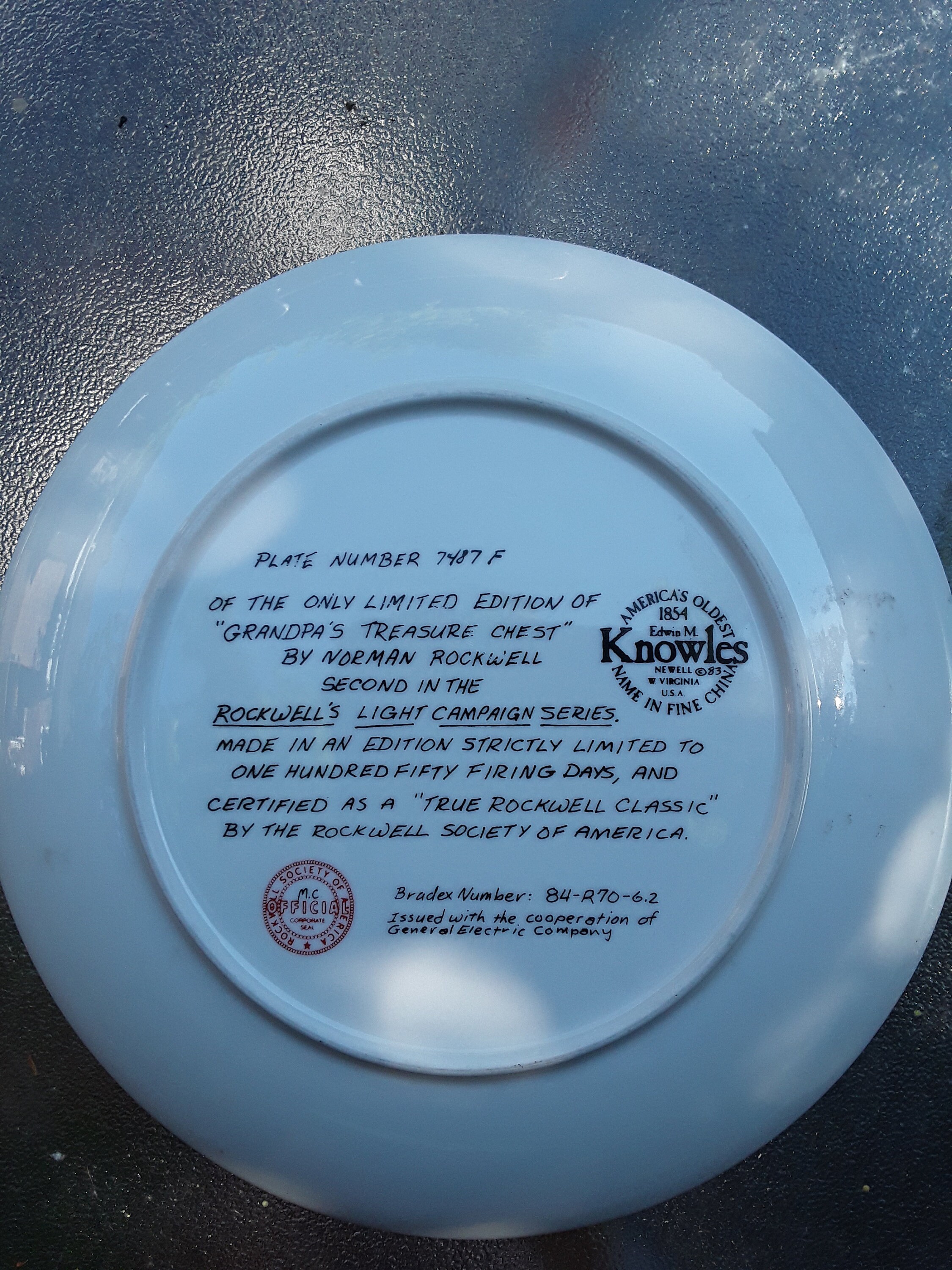 中古美品　IRON ROCK SOFT PLATE 138 NORMAN ROCKWELL Plate True Rockwell Classic - Etsy Canada