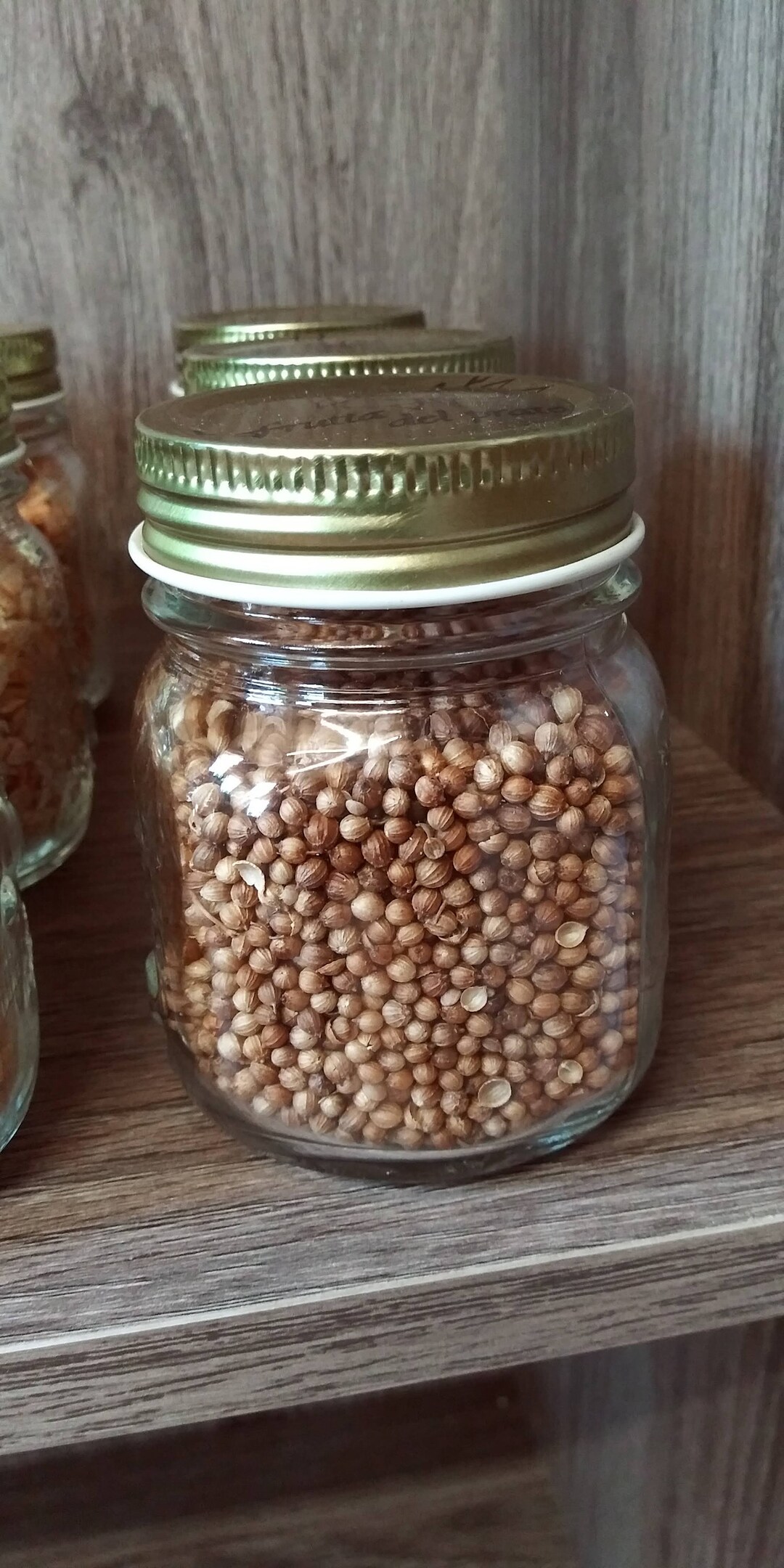 Coriander Seed Spice Jar Jar of Organic Coriander Seed Etsy