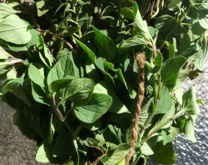 Fresh Marjoram, Fresh Herb Cuttings, Fresh Marjoram Bunch, Sweet