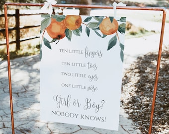 Orange Citrus Gender Reveal Sign, Watercolor Printable Poster (Digital Download)