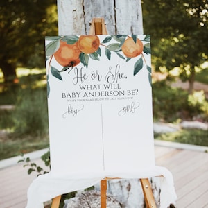 He or She What Will Baby Be Sign, Gender Guess Board, He or She Template, Little Cutie Gender Reveal Poster, Citrus Gender Reveal Party, p47