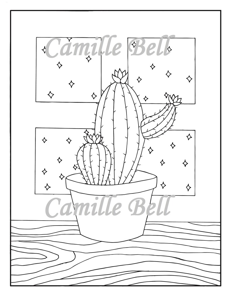 Cactus succulent coloring page adult coloring page download cactus drawing succulent coloring page nature coloring page