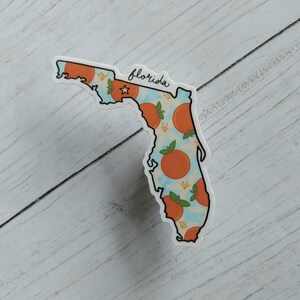 Florida State Sticker, United States Travel Gift, Florida Outline Artwork, Florida Oranges State Flower Souvenir, Sunshine State Gift, UF